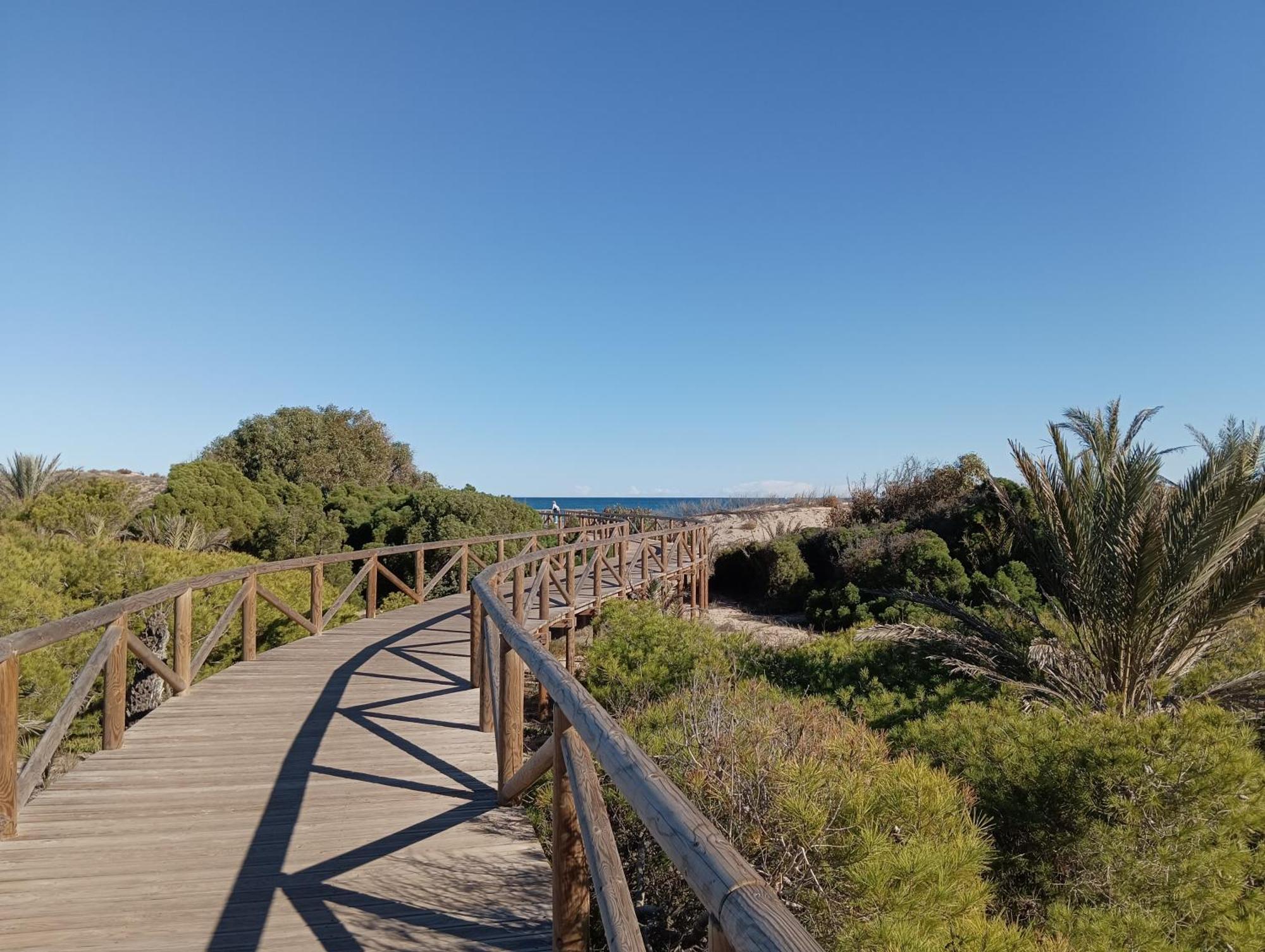 Bonito Apartamento 150 M De La Playa La Mata Ла Мата Екстериор снимка