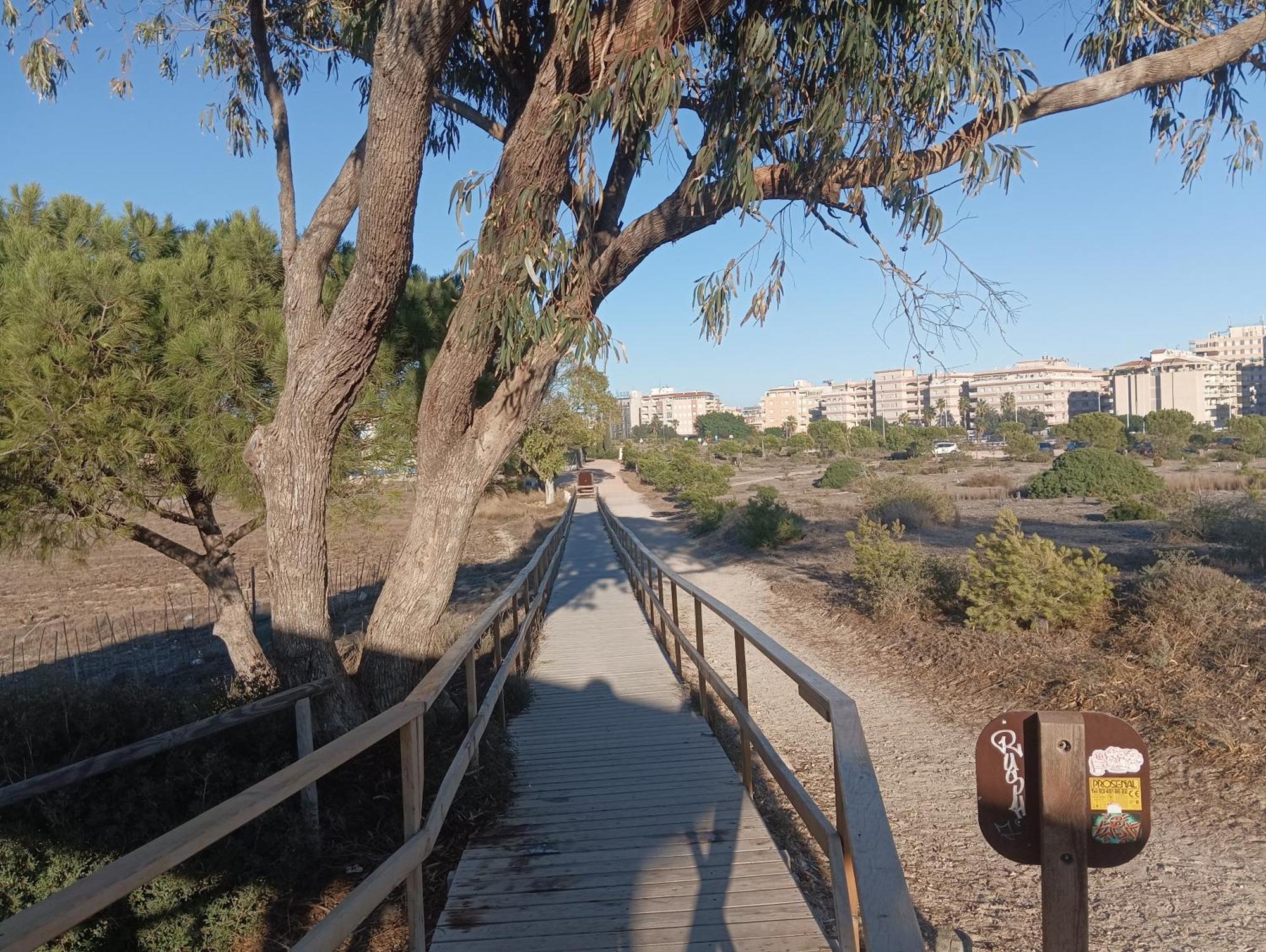 Bonito Apartamento 150 M De La Playa La Mata Ла Мата Екстериор снимка