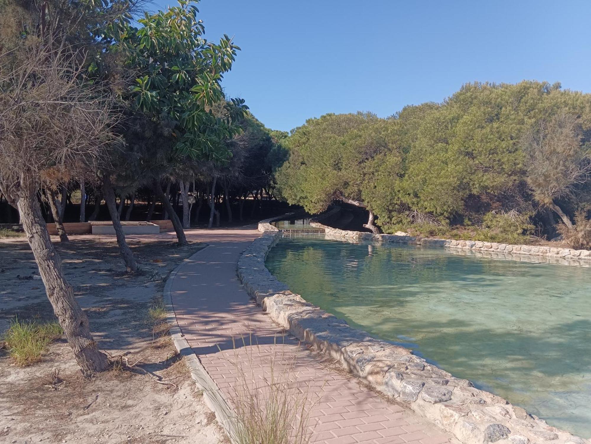 Bonito Apartamento 150 M De La Playa La Mata Ла Мата Екстериор снимка